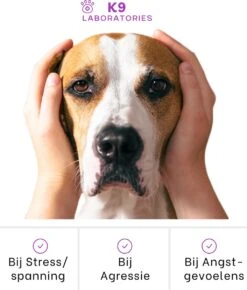 K9 Laboratories Kalmte & Balans - Hond - 60 Stuks - Bij Stress, Angst En Agressie - Ashwagandha - L-tryptofaan - Passiebloem - Valeriaanwortel - Lavendel -Huisdierbenodigdheden Serie 1023x1200