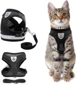 Merkloos Kattentuigje Met Looplijn | Zwart Kattenharnas | Easy Step In | Kattenriem | Kattenlijn | Kattentuig | Maat S -Huisdierbenodigdheden Serie 1070x1200