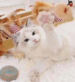 GIZMO Luxe Kattenspeeltjes Set - 7 Speeltjes - Interactieve Kattenhengel, Kattenspeelgoed & Speelmuisjes - Kitten Speeltjes 15 GIZMO Luxe Kattenspeeltjes Set - 7 Speeltjes - Interactieve Kattenhengel, Kattenspeelgoed & Speelmuisjes - Kitten Speeltjes -Huisdierbenodigdheden Serie 1108x1200