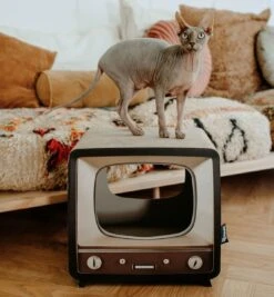 District 70 TELLY - Retro TV Krabmeubel - Instagrammable Kartonnen TV Voor Katten - 39 X 27 X 37 Cm 16 District 70 TELLY - Retro TV Krabmeubel - Instagrammable Kartonnen TV Voor Katten - 39 X 27 X 37 Cm -Huisdierbenodigdheden Serie 1112x1200 2