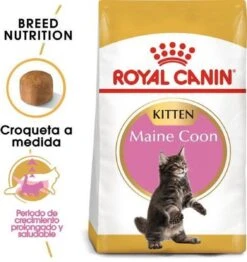 Royal Canin Maine Coon Kitten - Kattenvoer - 4 Kg -Huisdierbenodigdheden Serie 1132x1200 4