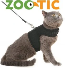 Zootic Kattentuigje Met Leiband Riem Kattenharnas Zwart Maat M Kat & Kitten - Halsomvang 20 Tot 26cm - Borstomvang 30 Tot 34cm -Huisdierbenodigdheden Serie 1135x1200 2