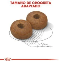 Royal Canin Maxi Ageing 8+ 15 KG -Huisdierbenodigdheden Serie 1149x1200 2