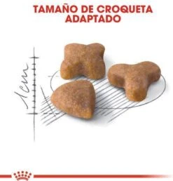 Royal Canin Sensible 33 - Kattenvoer - 10+2 Kg Bonusbag -Huisdierbenodigdheden Serie 1149x1200 4