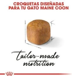 Royal Canin Maine Coon Kitten - Kattenvoer - 4 Kg -Huisdierbenodigdheden Serie 1151x1200 1