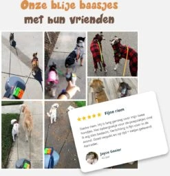 Dubbele Honden Riem – Leiband Hond – Hondenlijn – Looplijn Hond – 2 Honden – 3 Meter – Tot 12kg Per Hond – Reflecterende Lijnen – Met Zaklamp – 360° Draaien – Verstelbaar - Zwart 16 Dubbele Honden Riem – Leiband Hond – Hondenlijn – Looplijn Hond – 2 Honden – 3 Meter – Tot 12kg Per Hond – Reflecterende Lijnen – Met Zaklamp – 360° Draaien – Verstelbaar - Zwart -Huisdierbenodigdheden Serie 1160x1200 3