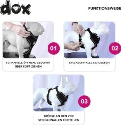 DDOXX Hondenharnas, Reflecterend, Verstelbaar, Breakaway | Borstharnas Voor Klein, Middelgroot | Hondenharnas Hond Kat Puppy Auto | Kattenharnas Puppy Harnas | Roze Roze, S 16 DDOXX Hondenharnas, Reflecterend, Verstelbaar, Breakaway | Borstharnas Voor Klein, Middelgroot | Hondenharnas Hond Kat Puppy Auto | Kattenharnas Puppy Harnas | Roze Roze, S -Huisdierbenodigdheden Serie 1165x1200