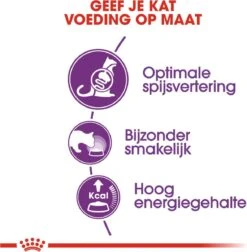 Royal Canin Sensible 33 - Kattenvoer - 10+2 Kg Bonusbag -Huisdierbenodigdheden Serie 1178x1200 1