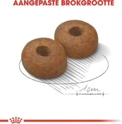 Royal Canin Maxi Ageing 8+ 15 KG -Huisdierbenodigdheden Serie 1179x1200 3