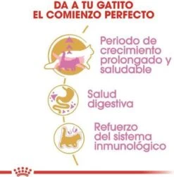 Royal Canin Maine Coon Kitten - Kattenvoer - 4 Kg -Huisdierbenodigdheden Serie 1180x1200