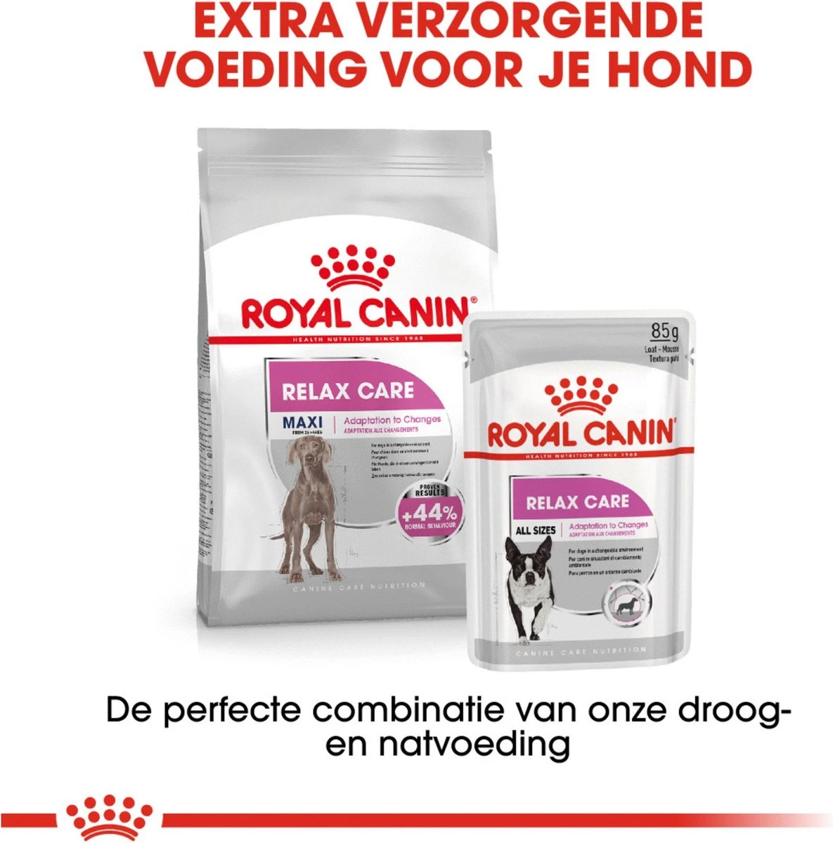 Royal Canin Ccn Relax Care Maxi - Hondenvoer - 9 Kg 5 Royal Canin Ccn Relax Care Maxi - Hondenvoer - 9 Kg - Afbeelding 5