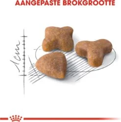 Royal Canin Sensible 33 - Kattenvoer - 10+2 Kg Bonusbag -Huisdierbenodigdheden Serie 1185x1200 4