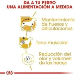 Royal Canin Dachshund/Teckel Adult 7.5 KG 20 Royal Canin Dachshund/Teckel Adult 7.5 KG -Huisdierbenodigdheden Serie 1190x1200