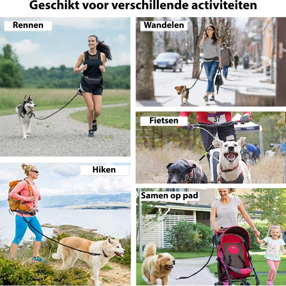 Filo Elastische Hondenriem Middel - Hardlopen En Wandelen - Hardloopriem Hond Handsfree Met Heuptasje - Looplijn Met Heupriem - Canicross Gordel Honden - Riemen - Heupgordel - Leiband 7 Filo Elastische Hondenriem Middel - Hardlopen En Wandelen - Hardloopriem Hond Handsfree Met Heuptasje - Looplijn Met Heupriem - Canicross Gordel Honden - Riemen - Heupgordel - Leiband - Afbeelding 7