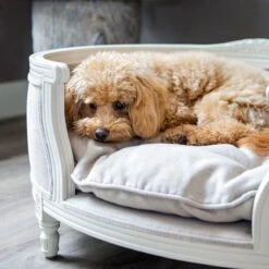 Lord Lou - George Roze Velvet S - Luxe Hondenmand - Luxe Kattenmand - 49x40x31 15 Lord Lou - George Roze Velvet S - Luxe Hondenmand - Luxe Kattenmand - 49x40x31 -Huisdierbenodigdheden Serie 1198x1200 7