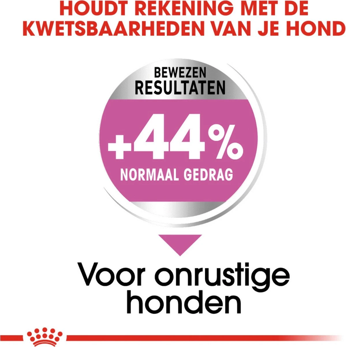 Royal Canin Ccn Relax Care Maxi - Hondenvoer - 9 Kg 3 Royal Canin Ccn Relax Care Maxi - Hondenvoer - 9 Kg - Afbeelding 3