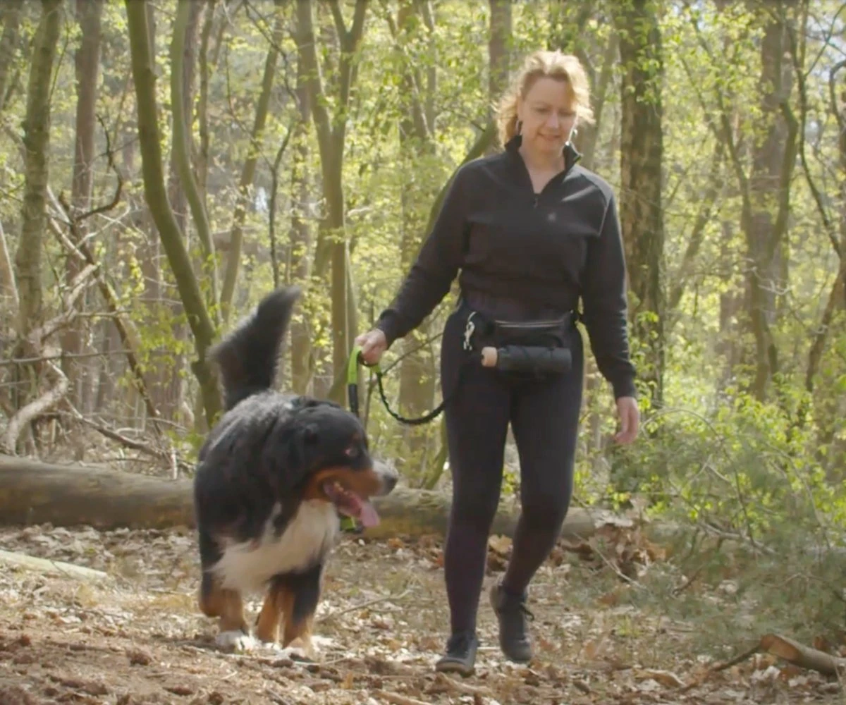 Canicross Looplijn Hond Met Heupriem Voor Hardlopen - Elastische Handsfree Hondenriem - Honden Trainingslijn - 150/200cm - Grijs 2 Canicross Looplijn Hond Met Heupriem Voor Hardlopen - Elastische Handsfree Hondenriem - Honden Trainingslijn - 150/200cm - Grijs - Afbeelding 2