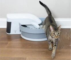 Zelfreinigende Kattenbak - PetSafe Simply Clean - Fluisterstil Met Koolstoffilter Tegen Geurtjes 15 Zelfreinigende Kattenbak - PetSafe Simply Clean - Fluisterstil Met Koolstoffilter Tegen Geurtjes -Huisdierbenodigdheden Serie 1200x1005