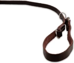 Multifunctionele Hondenriem - 220cm - Bruin - Leren Hondenriem - 100% Volnerfleer - Hondenriem Leer - Leiband Hond -Huisdierbenodigdheden Serie 1200x1026