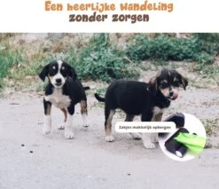 Dubbele Honden Riem – Leiband Hond – Hondenlijn – Looplijn Hond – 2 Honden – 3 Meter – Tot 12kg Per Hond – Reflecterende Lijnen – Met Zaklamp – 360° Draaien – Verstelbaar - Zwart 14 Dubbele Honden Riem – Leiband Hond – Hondenlijn – Looplijn Hond – 2 Honden – 3 Meter – Tot 12kg Per Hond – Reflecterende Lijnen – Met Zaklamp – 360° Draaien – Verstelbaar - Zwart -Huisdierbenodigdheden Serie 1200x1035 1