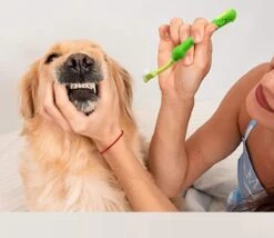 Merkloos Tandenborstel - Voor Huisdieren - Honden - 3 Zijdig - Multi-Hoek - Schoonmaken - Tanden - Slechte Adem - Tandsteen - Tandenborstel - Gezondheid - Blauw 9 Merkloos Tandenborstel - Voor Huisdieren - Honden - 3 Zijdig - Multi-Hoek - Schoonmaken - Tanden - Slechte Adem - Tandsteen - Tandenborstel - Gezondheid - Blauw -Huisdierbenodigdheden Serie 1200x1042