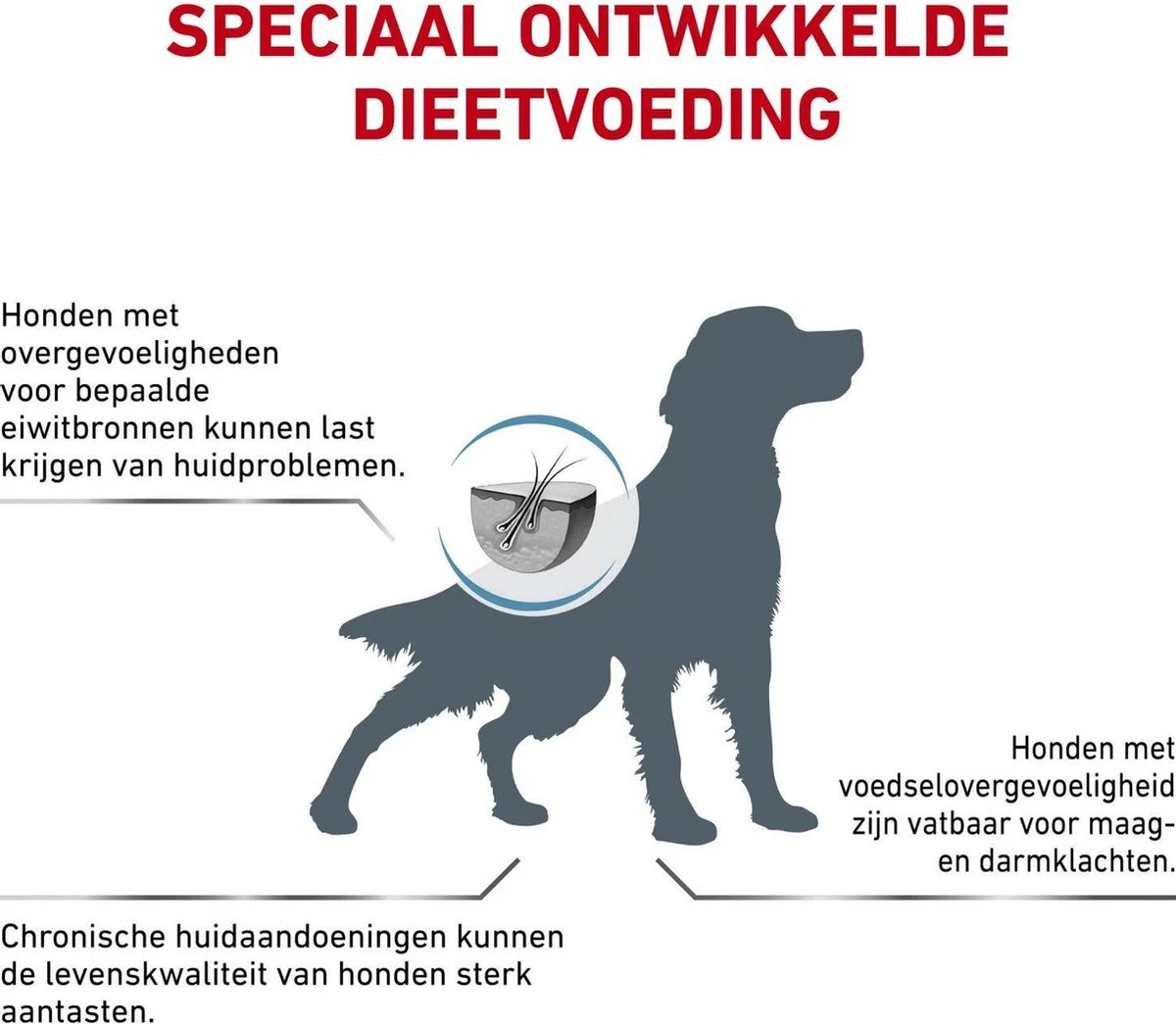 Royal Canin Hypoallergenic - Hondenvoer - 14 Kg 5 Royal Canin Hypoallergenic - Hondenvoer - 14 Kg - Afbeelding 5