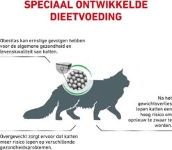 Royal Canin Satiety Weight Management - Kattenvoer - 6 Kg 14 Royal Canin Satiety Weight Management - Kattenvoer - 6 Kg -Huisdierbenodigdheden Serie 1200x1050 4