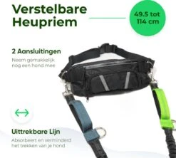 Canicross Looplijn Hond Met Heupriem Voor Hardlopen - Elastische Handsfree Hondenriem - Honden Trainingslijn - 150/200cm - Groen 12 Canicross Looplijn Hond Met Heupriem Voor Hardlopen - Elastische Handsfree Hondenriem - Honden Trainingslijn - 150/200cm - Groen -Huisdierbenodigdheden Serie 1200x1077