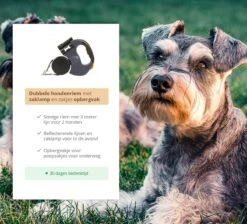Dubbele Honden Riem – Leiband Hond – Hondenlijn – Looplijn Hond – 2 Honden – 3 Meter – Tot 12kg Per Hond – Reflecterende Lijnen – Met Zaklamp – 360° Draaien – Verstelbaar - Zwart 15 Dubbele Honden Riem – Leiband Hond – Hondenlijn – Looplijn Hond – 2 Honden – 3 Meter – Tot 12kg Per Hond – Reflecterende Lijnen – Met Zaklamp – 360° Draaien – Verstelbaar - Zwart -Huisdierbenodigdheden Serie 1200x1087 1