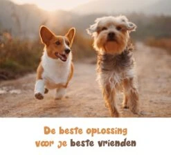 Dubbele Honden Riem – Leiband Hond – Hondenlijn – Looplijn Hond – 2 Honden – 3 Meter – Tot 12kg Per Hond – Reflecterende Lijnen – Met Zaklamp – 360° Draaien – Verstelbaar - Zwart 17 Dubbele Honden Riem – Leiband Hond – Hondenlijn – Looplijn Hond – 2 Honden – 3 Meter – Tot 12kg Per Hond – Reflecterende Lijnen – Met Zaklamp – 360° Draaien – Verstelbaar - Zwart -Huisdierbenodigdheden Serie 1200x1087 2