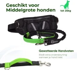 Canicross Looplijn Hond Met Heupriem Voor Hardlopen - Elastische Handsfree Hondenriem - Honden Trainingslijn - 150/200cm - Groen 14 Canicross Looplijn Hond Met Heupriem Voor Hardlopen - Elastische Handsfree Hondenriem - Honden Trainingslijn - 150/200cm - Groen -Huisdierbenodigdheden Serie 1200x1089