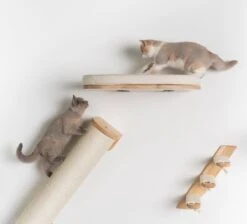 RHRQuality Wandmeubel Wandmontage Klimmuur Kat 53 X 43cm Luxe Kattenbed Creme Wand Muur Krabpaal Katten Muurbevestiging 13 RHRQuality Wandmeubel Wandmontage Klimmuur Kat 53 X 43cm Luxe Kattenbed Creme Wand Muur Krabpaal Katten Muurbevestiging -Huisdierbenodigdheden Serie 1200x1090 1