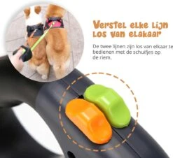 Dubbele Honden Riem – Leiband Hond – Hondenlijn – Looplijn Hond – 2 Honden – 3 Meter – Tot 12kg Per Hond – Reflecterende Lijnen – Met Zaklamp – 360° Draaien – Verstelbaar - Zwart 12 Dubbele Honden Riem – Leiband Hond – Hondenlijn – Looplijn Hond – 2 Honden – 3 Meter – Tot 12kg Per Hond – Reflecterende Lijnen – Met Zaklamp – 360° Draaien – Verstelbaar - Zwart -Huisdierbenodigdheden Serie 1200x1096 1
