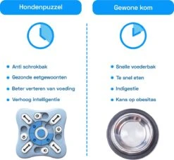 Honden Speelgoed Intelligentie – Hondenpuzzel - Interactieve Training – Voorkomt Verveling – 16 Vakjes – 11 Verplaatsbare Schuifjes - Denkspelletjes Voor Honden - Anti Schrokbak Hond – LumifyMe -Huisdierbenodigdheden Serie 1200x1108 1