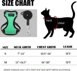 Kattentuigje Met Leiband Riem Kattenharnas Groen Maat M Kat & Kitten - Dieren Kattenriem - Cat Leash - Halsomvang 20 Tot 26cm - Borstomvang 30 Tot 34cm - Zootic® -Huisdierbenodigdheden Serie 1200x1110