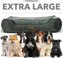 Primeplus Grote Hondenmand XL - Grijs - 100x80x20 CM - Orthopedische Hondenmanden - Hondenkussen -Huisdierbenodigdheden Serie 1200x1114