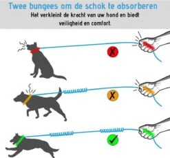 Oak's First Elastische En Diervriendelijke Looplijn Met Heupriem - Hondenriem - 150cm/210cm - Grijs 10 Oak's First Elastische En Diervriendelijke Looplijn Met Heupriem - Hondenriem - 150cm/210cm - Grijs -Huisdierbenodigdheden Serie 1200x1114 3