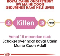Royal Canin Maine Coon Kitten - Kattenvoer - 4 Kg -Huisdierbenodigdheden Serie 1200x1114 8