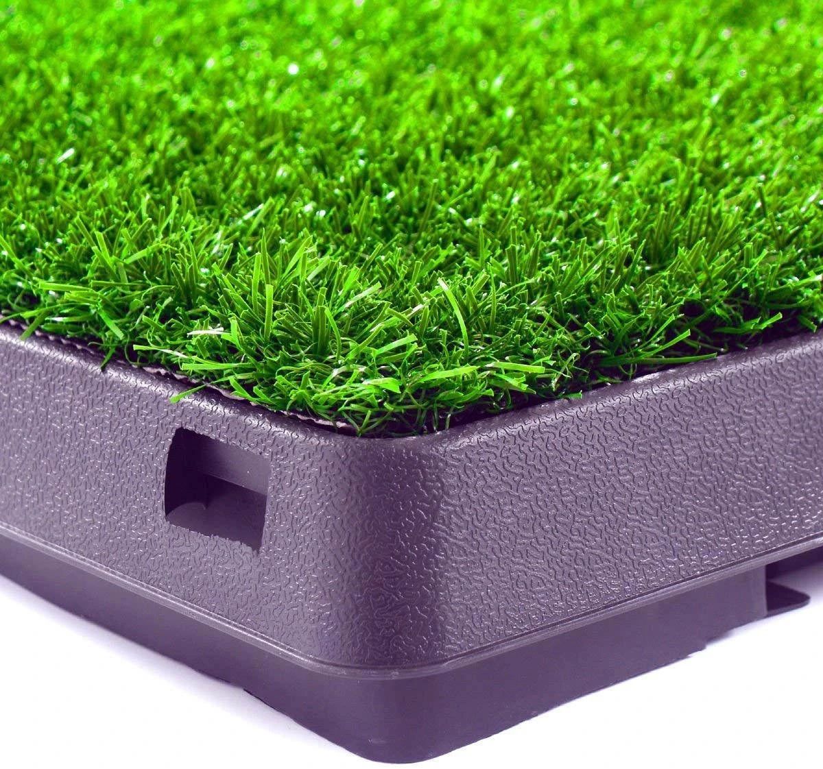 Merkloos Maoo Premium Hondentoilet - Geurbestendig & Hondvriendelijk Kunstgras - Uitneembare Opvangbak - Indoor En Outdoor - 63 X 50 Cm 5 Merkloos Maoo Premium Hondentoilet - Geurbestendig & Hondvriendelijk Kunstgras - Uitneembare Opvangbak - Indoor En Outdoor - 63 X 50 Cm - Afbeelding 5