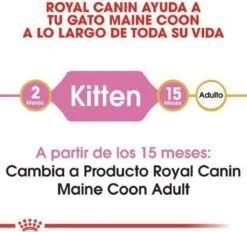 Royal Canin Maine Coon Kitten - Kattenvoer - 4 Kg -Huisdierbenodigdheden Serie 1200x1127 1