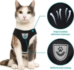 Merkloos Kattentuigje Met Looplijn | Zwart Kattenharnas | Easy Step In | Kattenriem | Kattenlijn | Kattentuig | Maat S -Huisdierbenodigdheden Serie 1200x1131