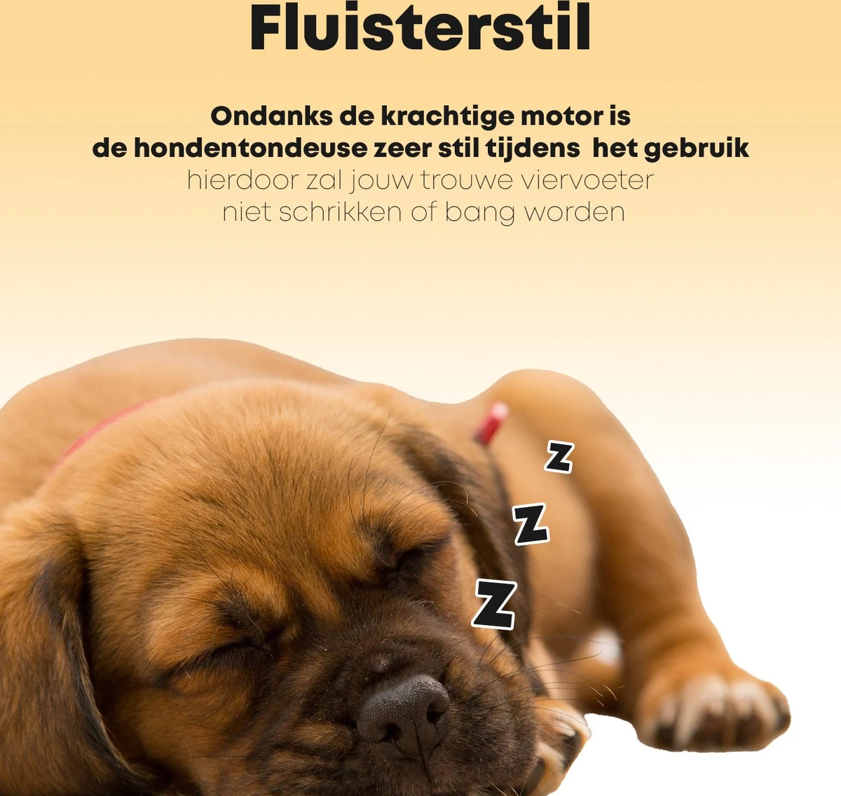 Hondentondeuse Professioneel - 2 In 1 - Honden & Katten - Hondentrimmer - Dikke & Dunne Vacht 4 Hondentondeuse Professioneel - 2 In 1 - Honden & Katten - Hondentrimmer - Dikke & Dunne Vacht - Afbeelding 4