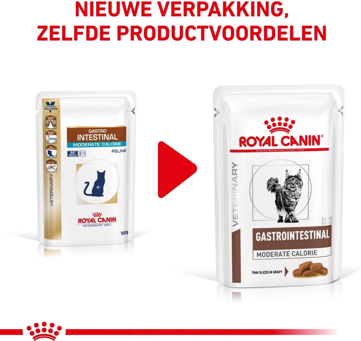 Royal Canin Gastro Intestinal Moderate Calorie Kat 12x85 Gr. 4 Royal Canin Gastro Intestinal Moderate Calorie Kat 12x85 Gr. - Afbeelding 4