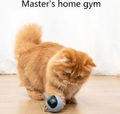 Otiume Interactieve Speelbal - Slimme Interactieve Jaag Speeltje Voor Katten - Kattenspeeltjes - Intelligente Jaagbal - AI -USB Oplaadbaar - LED - Blauw 11 Otiume Interactieve Speelbal - Slimme Interactieve Jaag Speeltje Voor Katten - Kattenspeeltjes - Intelligente Jaagbal - AI -USB Oplaadbaar - LED - Blauw -Huisdierbenodigdheden Serie 1200x1137 7