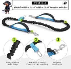 BOTC Looplijn Hond Met Heupriem Voor Hardlopen - Met Drinkbak Hond - Hondenriem - 1 Roll Poep Zakjes - Zwart -Huisdierbenodigdheden Serie 1200x1159 1