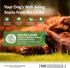 Wellness Core Grain Free Dog Adult Lam - Hondenvoer - 10 Kg 8 Wellness Core Grain Free Dog Adult Lam - Hondenvoer - 10 Kg -Huisdierbenodigdheden Serie 1200x1159 2