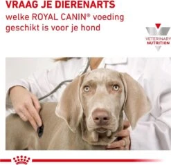 Royal Canin Anallergenic - Hondenvoer - 8 Kg 11 Royal Canin Anallergenic - Hondenvoer - 8 Kg -Huisdierbenodigdheden Serie 1200x1161 2