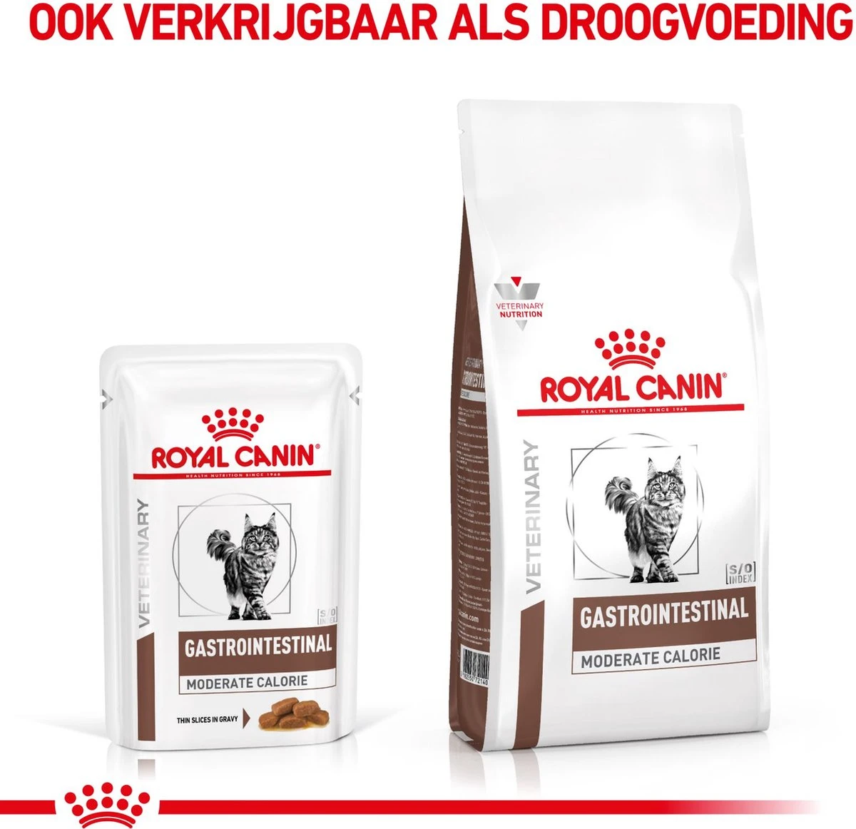 Royal Canin Gastro Intestinal Moderate Calorie Kat 12x85 Gr. 3 Royal Canin Gastro Intestinal Moderate Calorie Kat 12x85 Gr. - Afbeelding 3