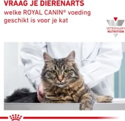 Royal Canin Gastro Intestinal Moderate Calorie Kat 12x85 Gr. 18 Royal Canin Gastro Intestinal Moderate Calorie Kat 12x85 Gr. -Huisdierbenodigdheden Serie 1200x1162 5