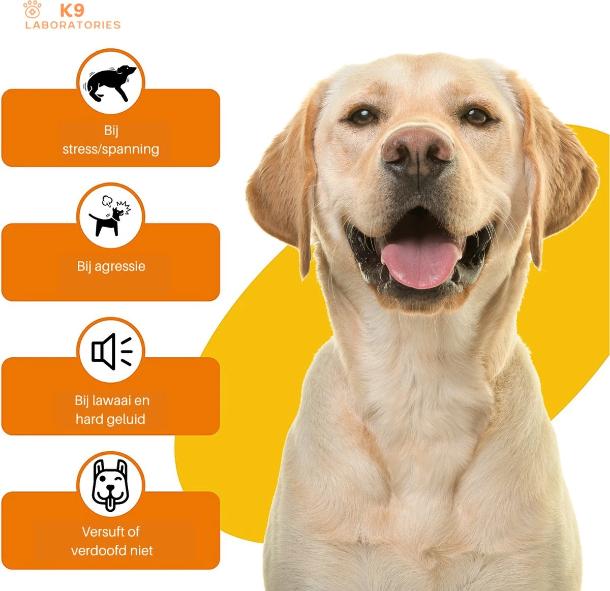 K9 Laboratories - Kalmte & Balans - Supplement - Voor Honden - Tegen Angst - Stress - Agressie - L-tryptofaan - Valeriaan - Hennepzaadolie - 60 Stuks - Voor Een Rustige Hond 4 K9 Laboratories - Kalmte & Balans - Supplement - Voor Honden - Tegen Angst - Stress - Agressie - L-tryptofaan - Valeriaan - Hennepzaadolie - 60 Stuks - Voor Een Rustige Hond - Afbeelding 4